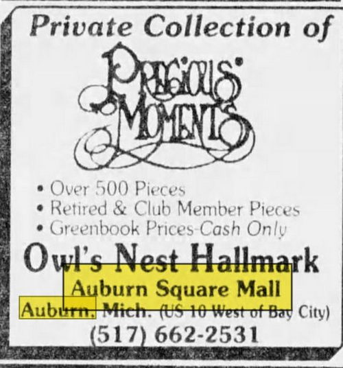 Auburn Plaza (Aburn Square Mall) - Aug 29 1994 Article